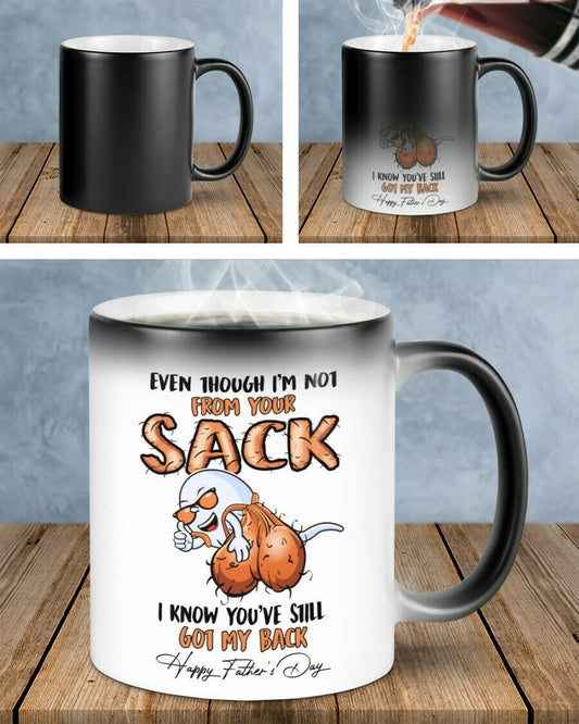 Father's day Gift - Even though I'm not from your sack  - Dad coffee mugs