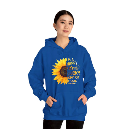 I'm a happy go lucky ray of f*cking sunshine  Hoodie