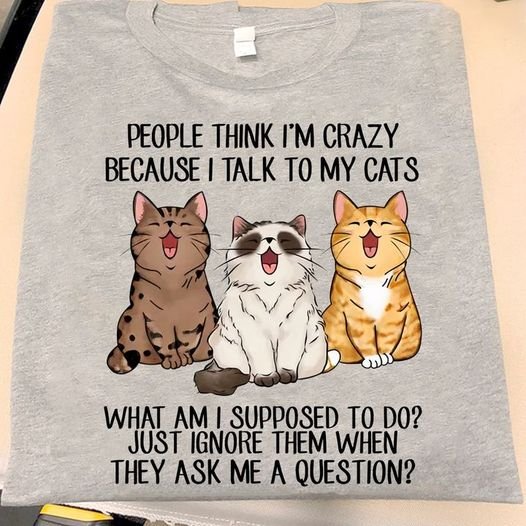 People think i'm crazy because i talk to my cats Shirt